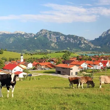 Allgaeu - Appartamento *